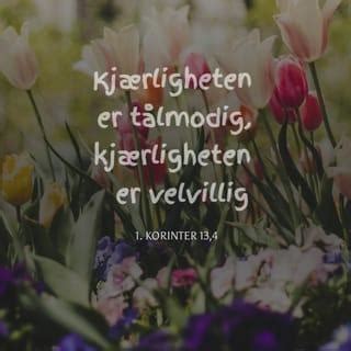 kærligheden er tålmodig|1 Corinthians 13:4